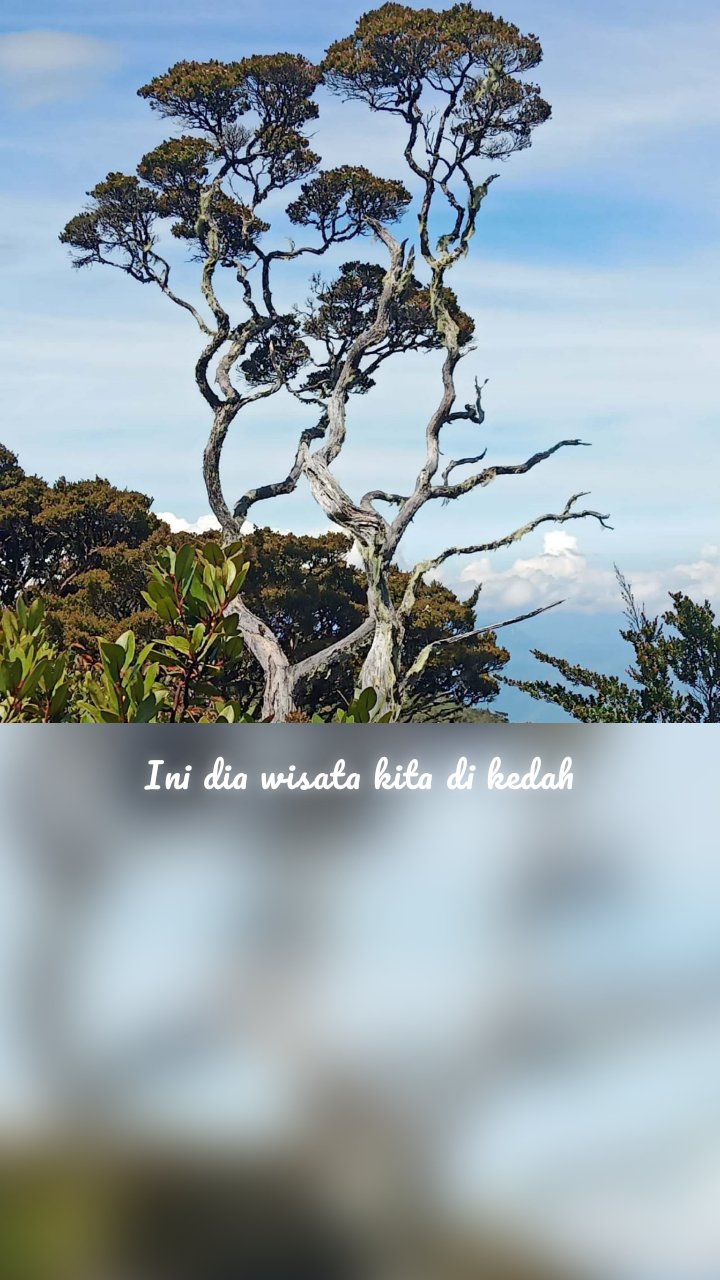 Ini dia wisata kita di kedah